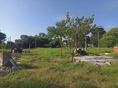 Ruta 11 1000