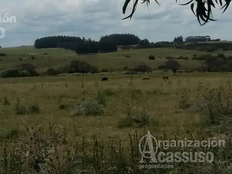 Terreno en Venta en José Ignacio, USD 539.000