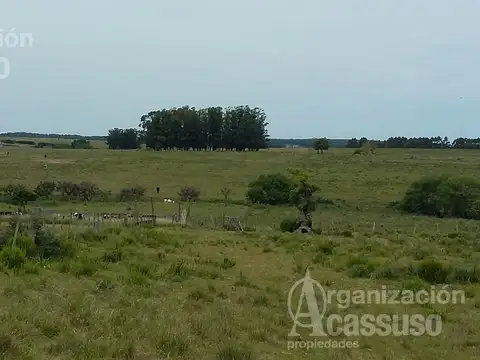 Maldonado - Chacra Venta de 14 hectareas. Polo Medellin