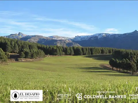 Terreno en Venta en San Martín de los Andes, USD 90.000
