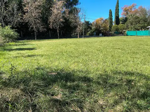 Pedro Ulloa 15000