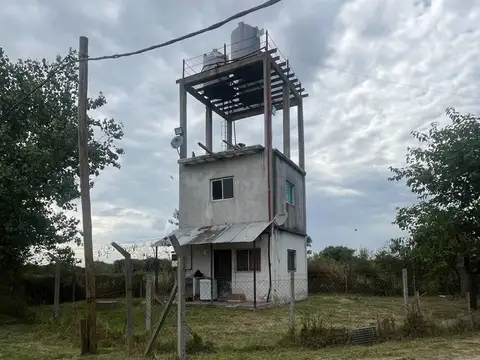 marcos paz granja cerdo