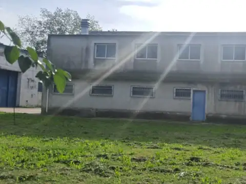 maximo Herrera 6100