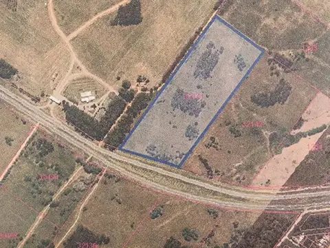 RUTA INTERBALNEARIA