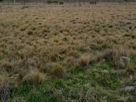 Terreno en Venta 10  mts Fondo