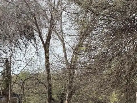 TERRENO EN VENTA EN MAITENES, LA DESEADA, PRÓXIMO A GUARDIA