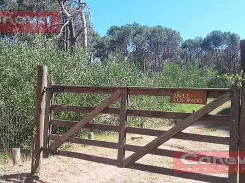 Casa en Venta en Punta del Este, USD 240.000