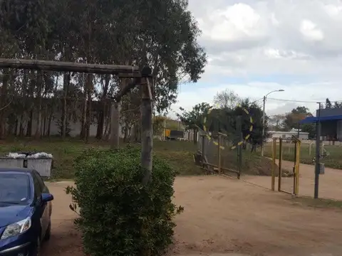 BATLLE BERRES, AV LUIS