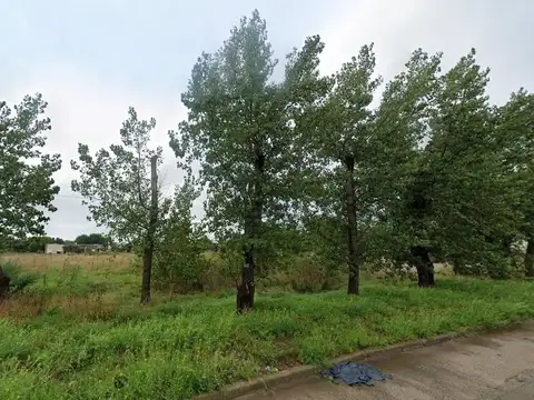 LOTES EN VENTA EN GENERAL BELGRANO 1 HECTÁREA