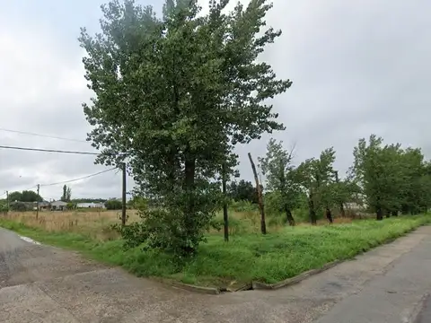 LOTES EN VENTA EN GENERAL BELGRANO 1 HECTÁREA