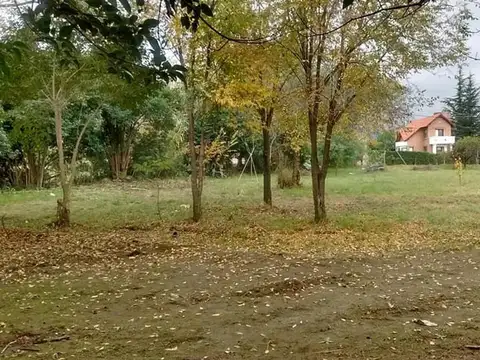 Terreno en Venta de 843,0 m2