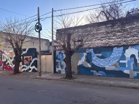 famatina 100