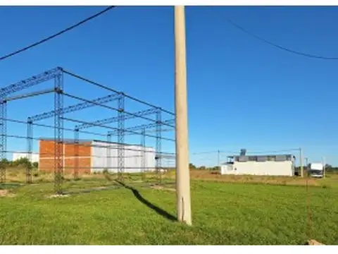 VENDO LOTE CON ESTRUCTURA PARA TINGLADO EN VILLA ELISA