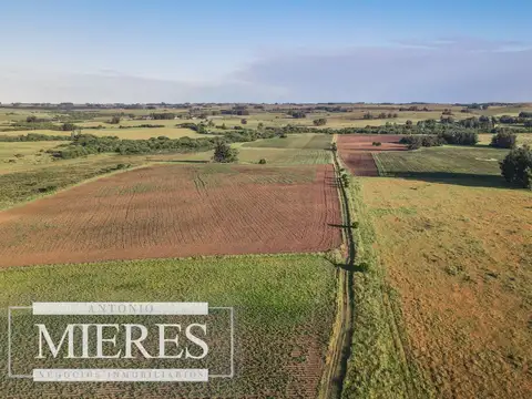 Chacra de 34ha con casa y arroyo en Maldonado
