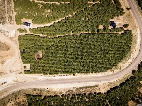 Venta lote Villa Pehuenia