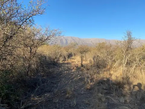 Terreno en Venta de 4500,0 m2