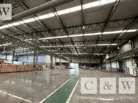 A metros de la colectora oeste de Ruta Panamericana km. 48,5