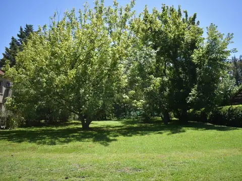 Terreno en Venta de 1607,0 m2