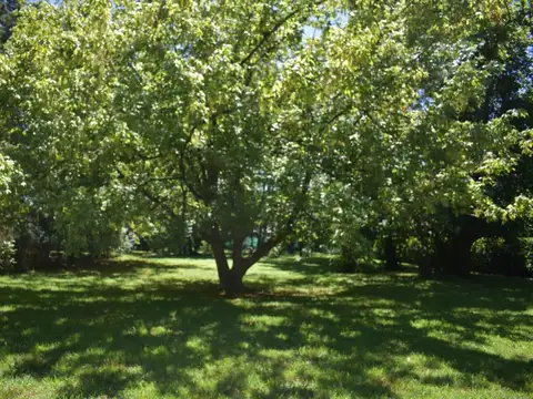 LOTE EN VENTA 1600 M2 B° ROCIOS DEL PILAR