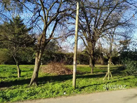 Ramallo Al 600