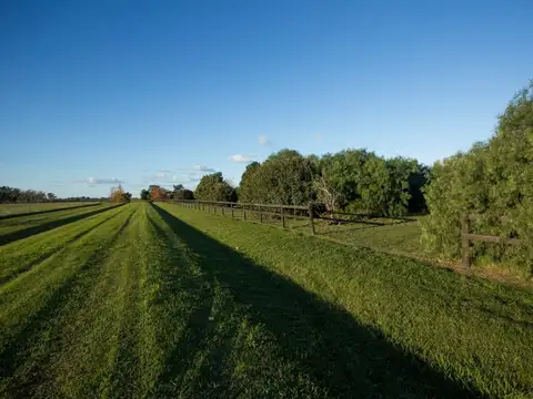 Terreno en Venta de 14279,0 m2