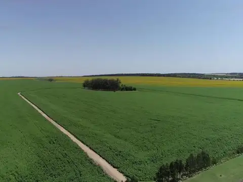Mar del Plata - 546 has. Agrícola