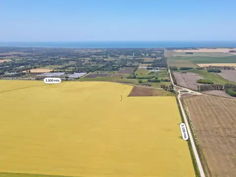 Mar del Plata - 546 has. Agrícola