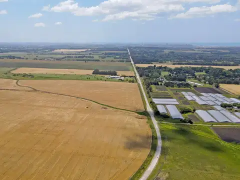 Mar del Plata - 546 has. Agrícola