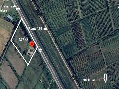 ALQUILER CHACRA EN RUTA 151 CINCO SALTOS