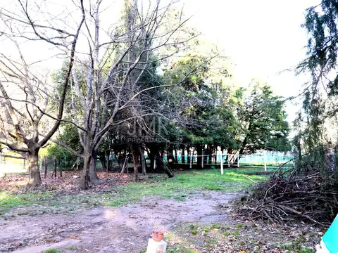 Chacra en Fátima | 5.000 m² aprox | casa + espacios productivos