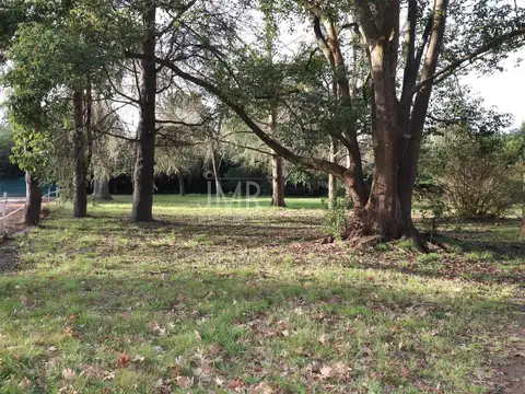 Chacra en Fátima | 5.000 m² aprox | casa + espacios productivos
