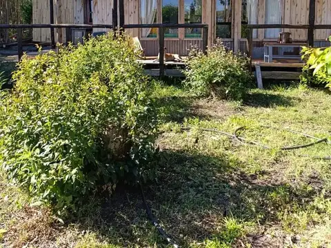 Cabaña con 1 Ha Colonia San Cipriano