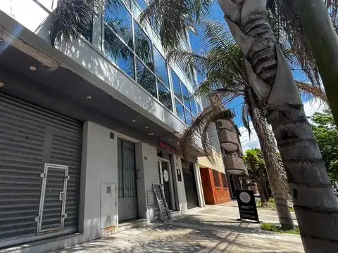 DEPARTAMENTO EN ALQUILER - CAMPANA