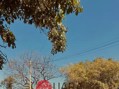 Suipacha 1161