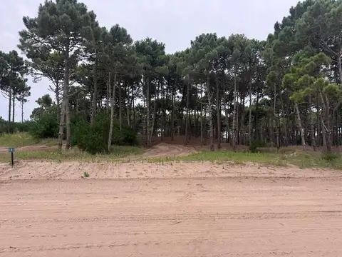 Terreno en Venta 26  mts Frente