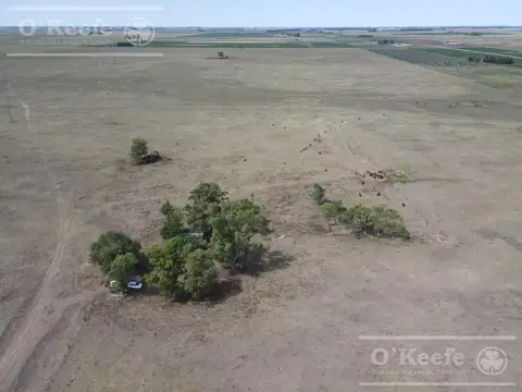 Campo Mixto de 141 Has en venta - Excelente acceso desde Ruta N° 29 - Ranchos
