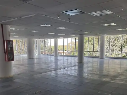 OFICINAS 930 m2 PLANTA LIBRE en OLIVO, 18 cocheras