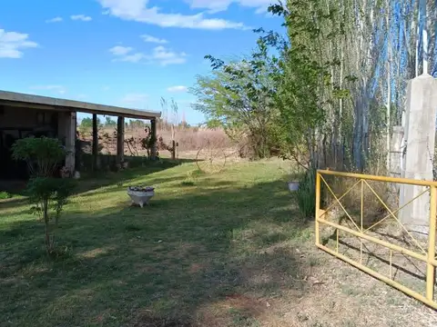 VENTA DE EXCELENTE FINCA CULTIVADA EN EL PASTAL