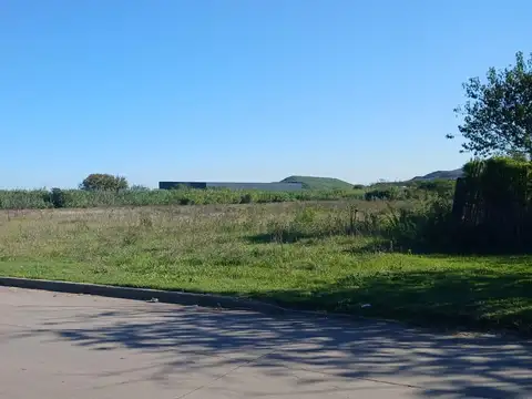VENTA - CAMPO DE 3,7 HECTÁREAS SOBRE AV. CIRCUNVALACIÓN – ROSARIO
