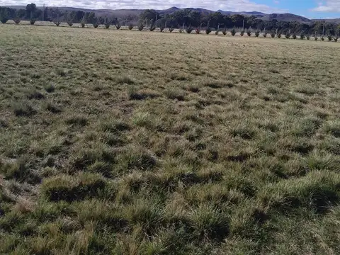 Terreno / Lote en venta de 1600m2 ubicado en Sierra de la Ventana