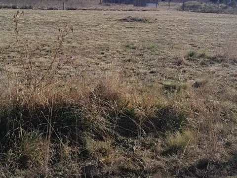 Terreno en Venta de 1600,0 m2