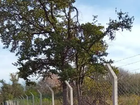 Terreno en Venta 20  mts Frente