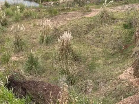 Cantera en venta en San Andrés de Giles