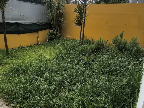 Depto Tipo Casa en Alquiler de 1 dormitorio