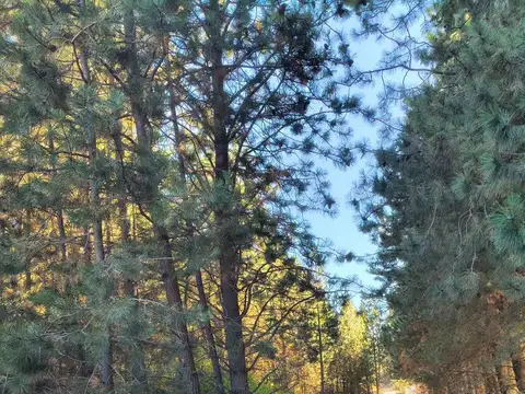 Terreno en Venta en San Carlos de Bariloche, USD 48.000