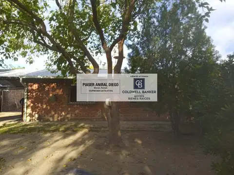 Alberdi al 1600 esp san martin
