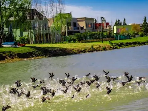 El Principado --- 100