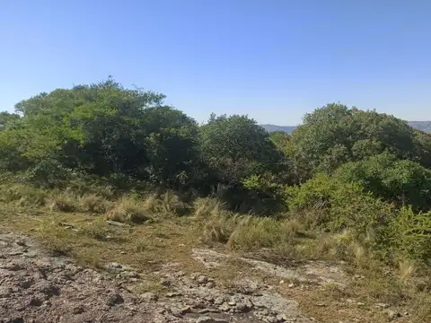 Campo en Venta Ganadero