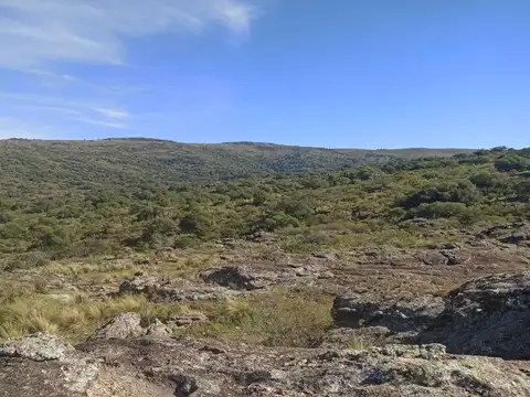 Campo en Venta con Alambrado