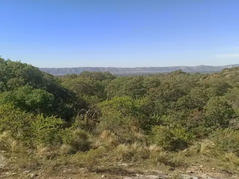 Campo en Venta con Alambrado